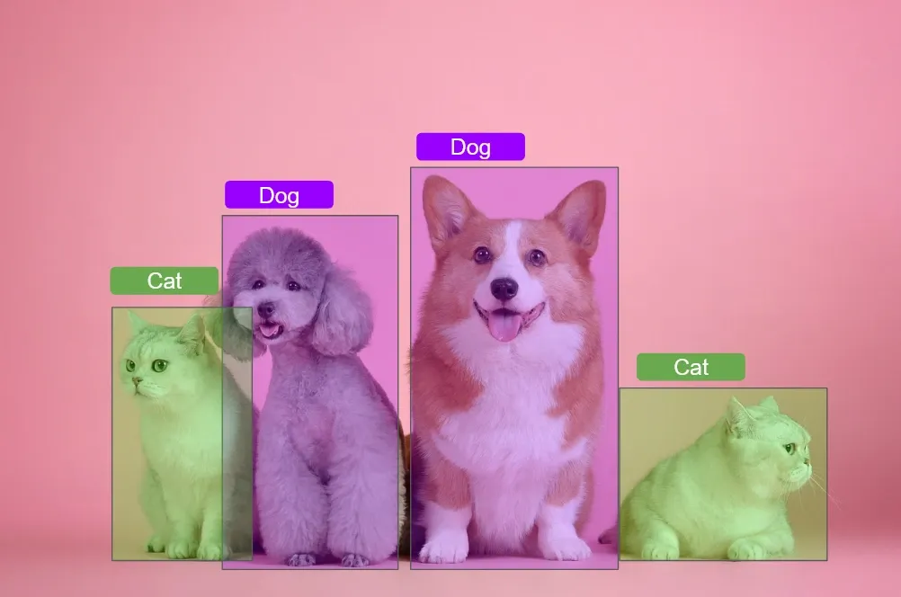 Object Detection