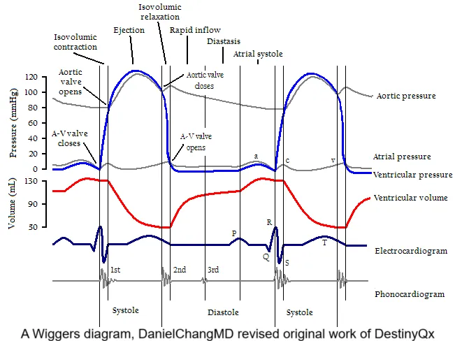 Signal Segmentation